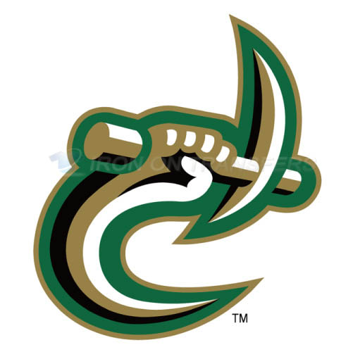 Charlotte 49ers logo T-shirts Iron On Transfers N4131 - Click Image to Close